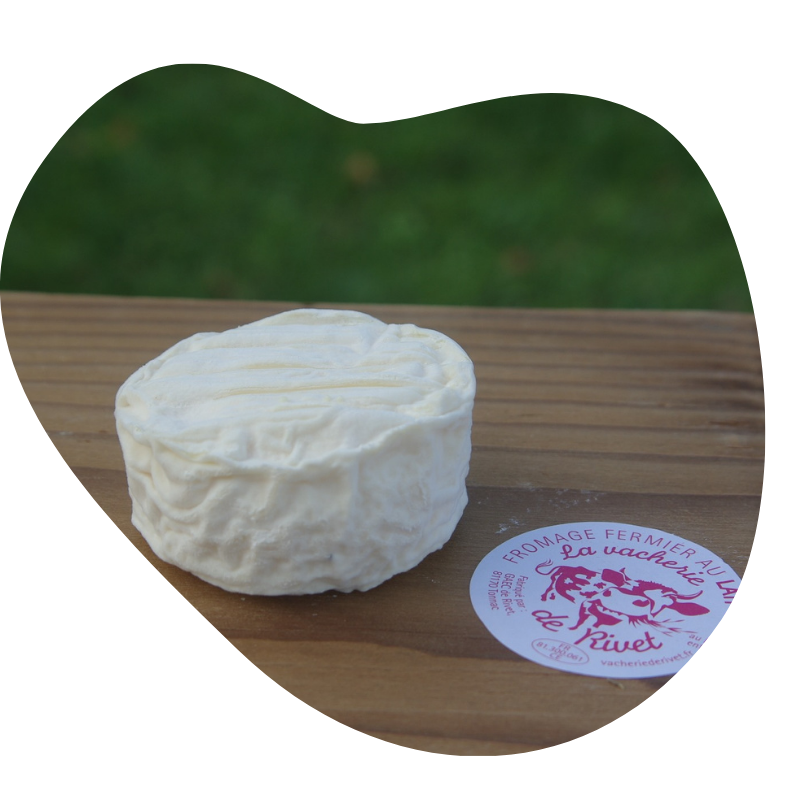 Fromage Lou Catet crémeux bio 81600 Gaillac