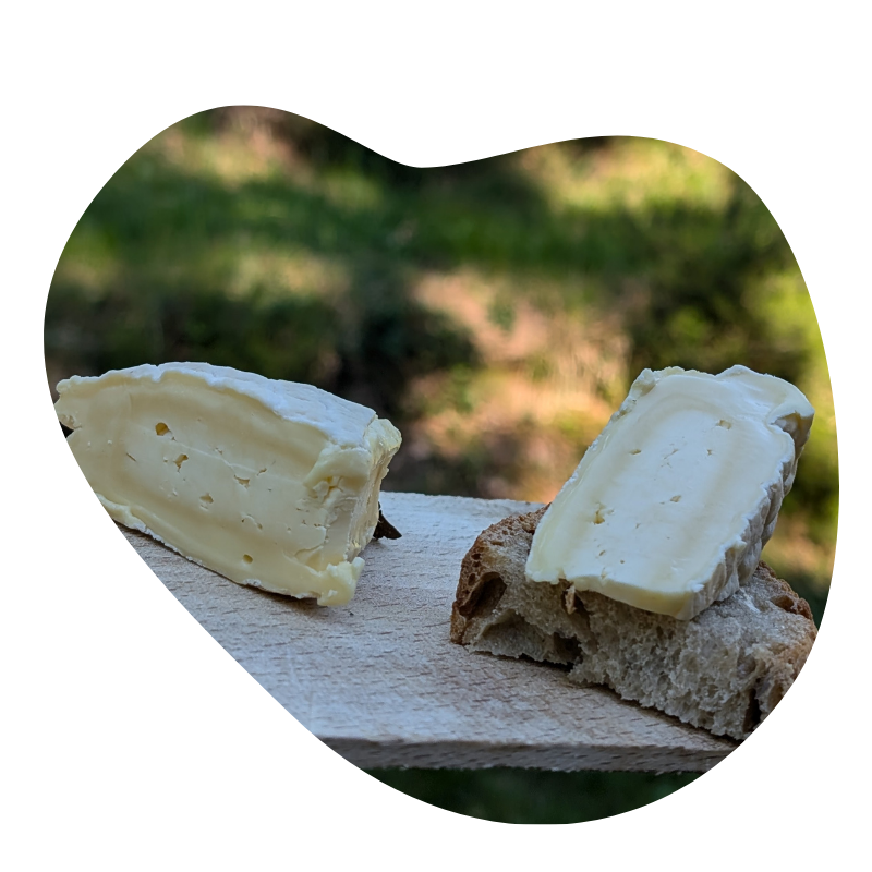 photo brivet pour site(2) Fromage bleu blanc de Rivet 81000